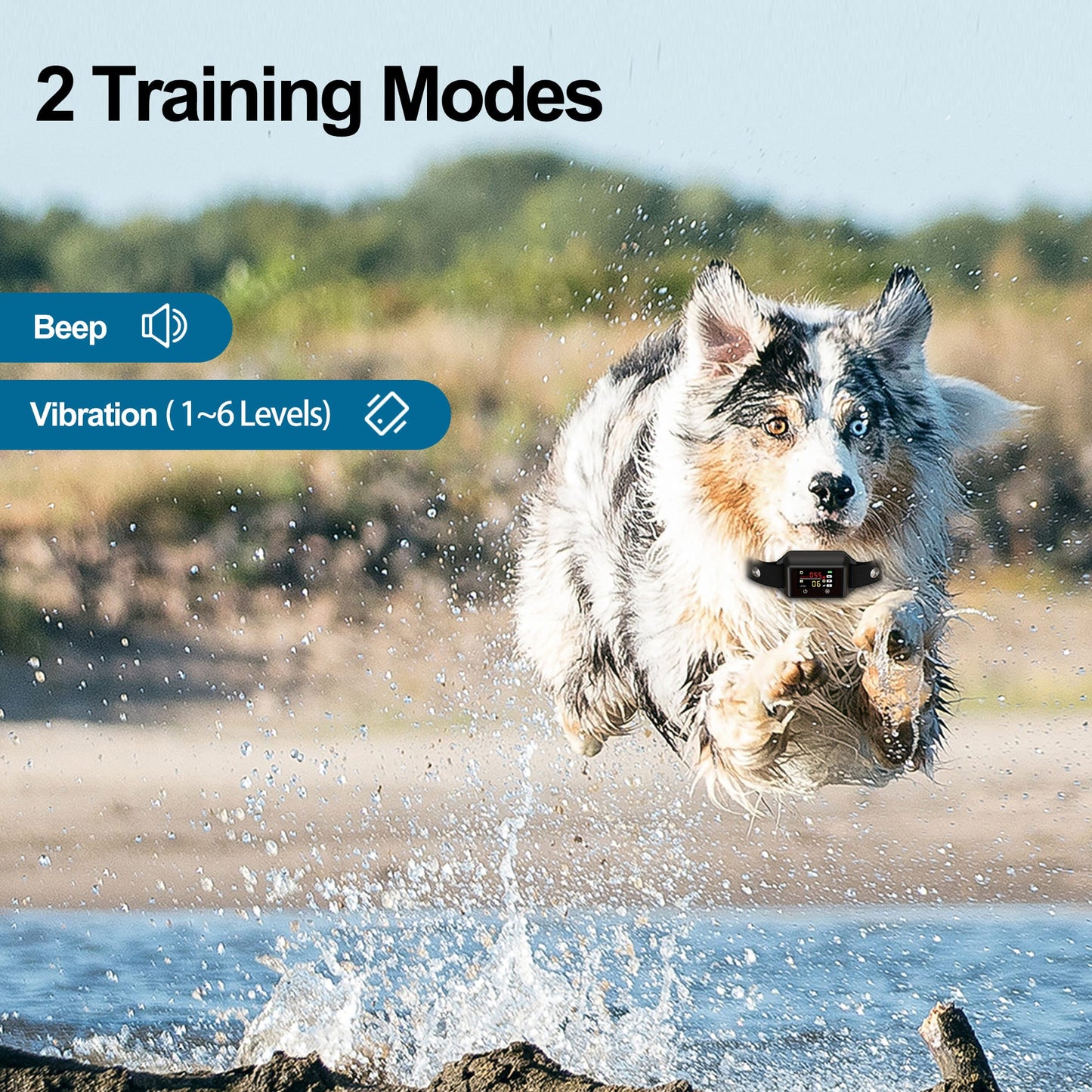 Astko B800 Bark Control Collar