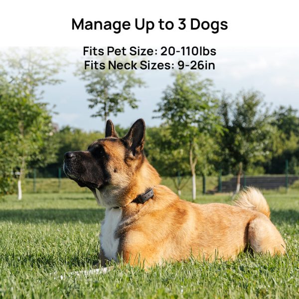 Astko F900 Wireless Dog Fence