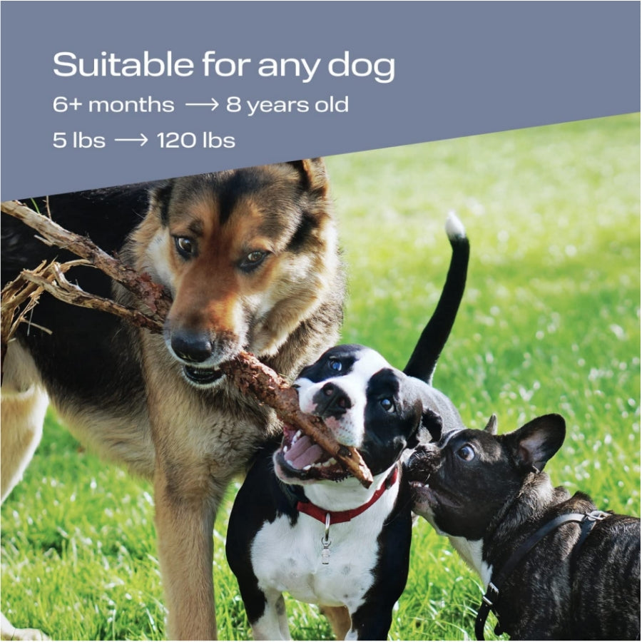 Astko UB120 Ultrasonic Bark Control