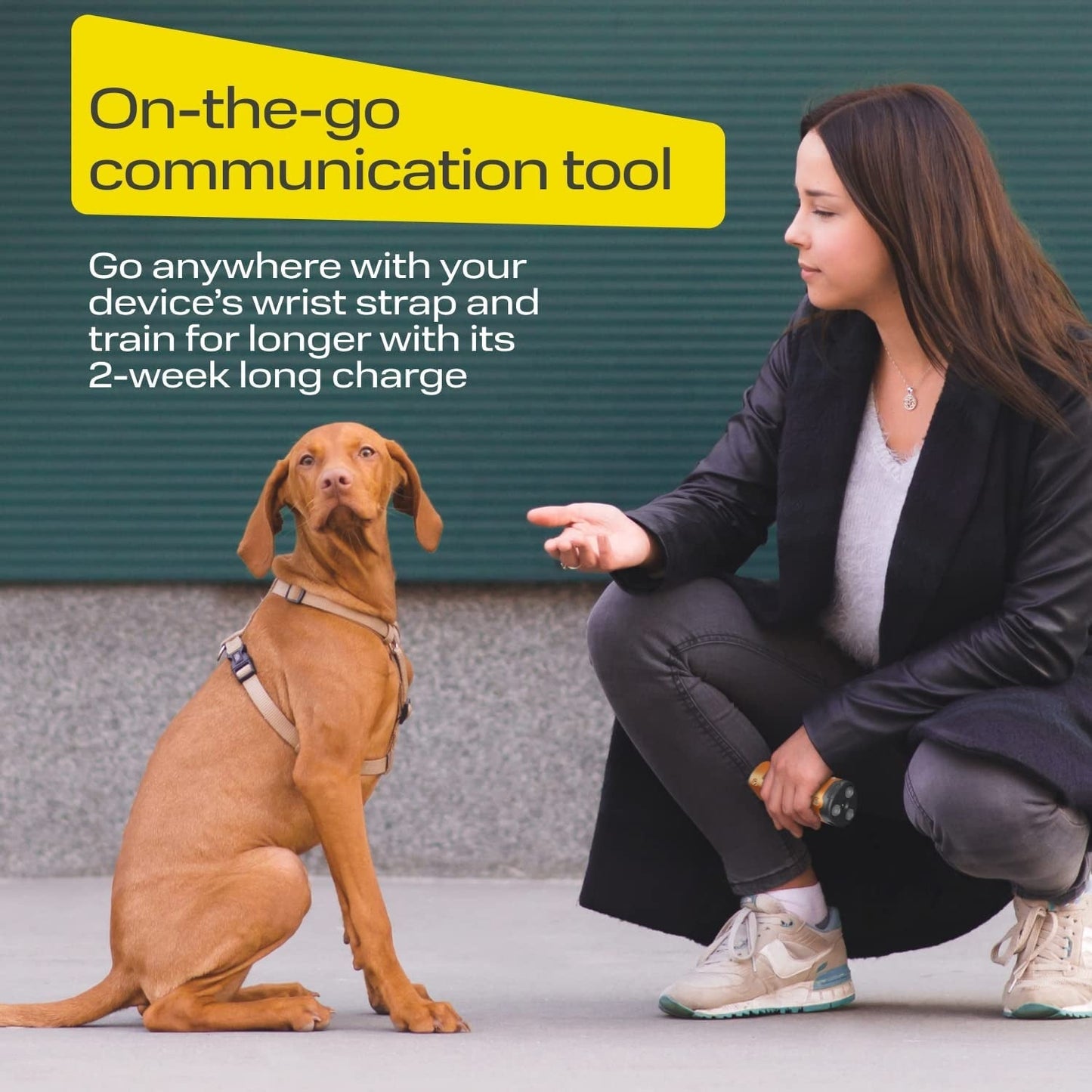 Astko UB120 Ultrasonic Bark Control