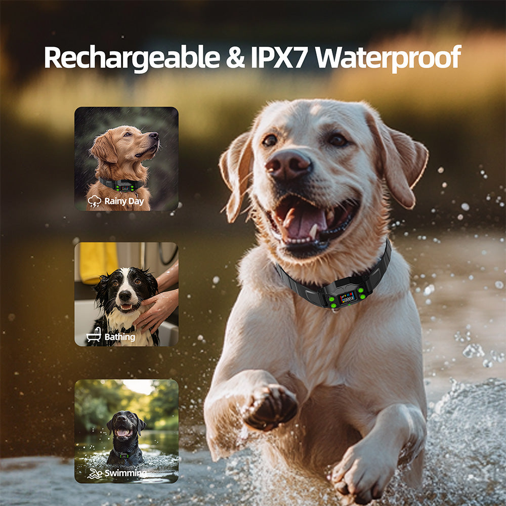 Astko F830-Plus GPS Wireless Dog Fence