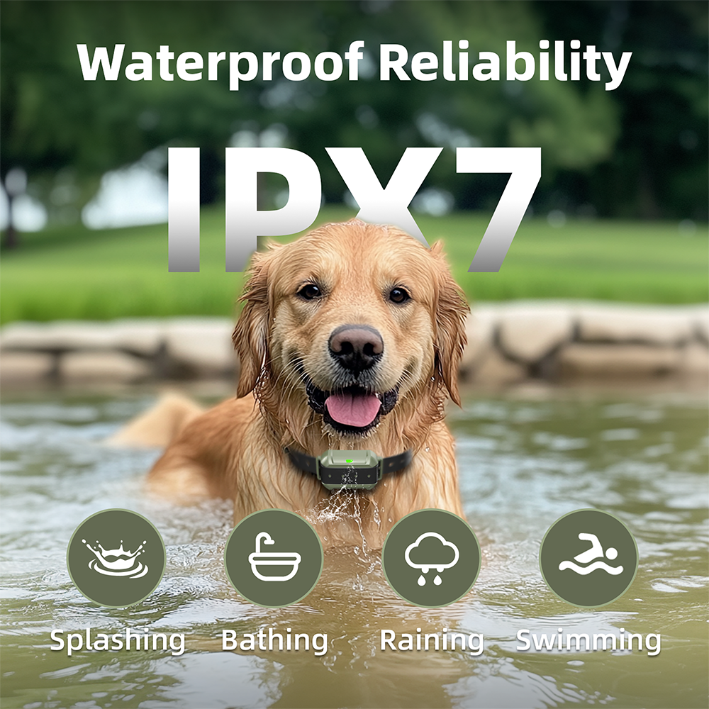 Astko F910 Radar Wireless Dog Fence