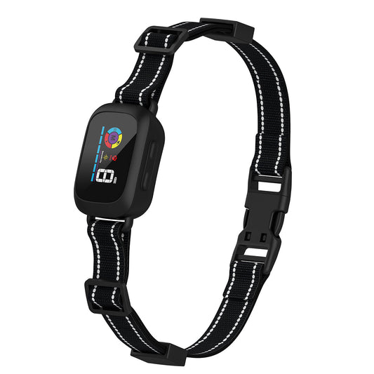 Astko B630 Bark Control Collar