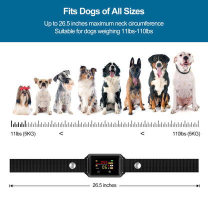 Astko B801 Bark Control Collar (No-Shock)