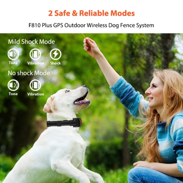 Astko F810 GPS Wireless Dog Fence