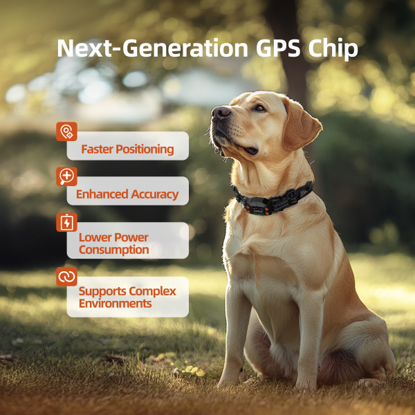 Astko F830 GPS Wireless Dog Fence
