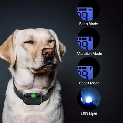 Astko T776 Remote Dog Training Collar