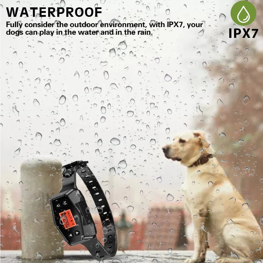 Astko F800 Wireless GPS Pet Containment System and Dog Tracker Collar