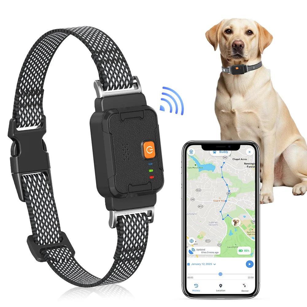 ASTKO G761 4G Pet GPS Tracker with Real‑Time GPS Tracking, Health Monitoring Smart Escape Alerts