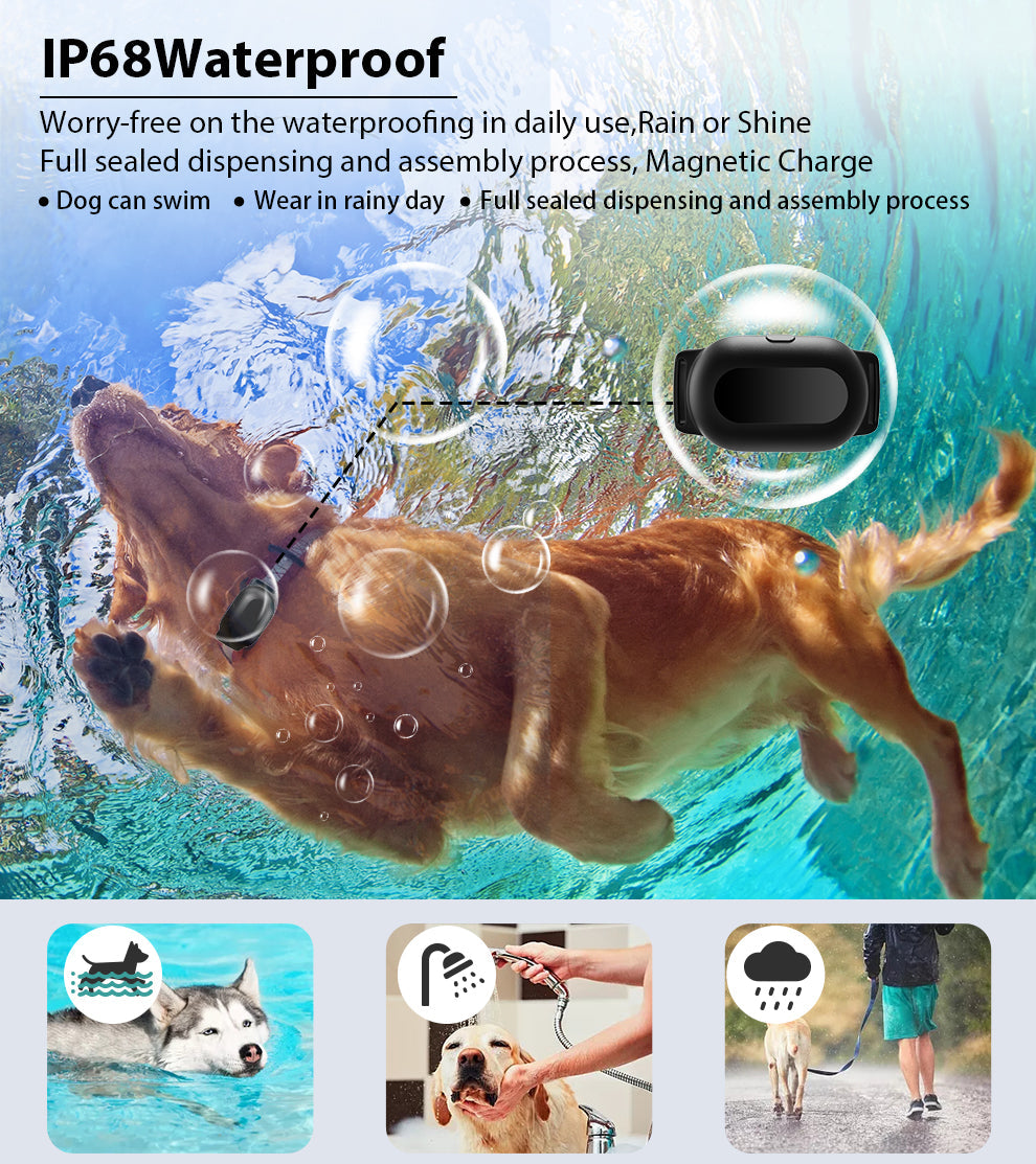 Astko T300 Dog Training Collar