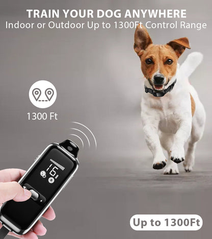 Astko T300 Dog Training Collar