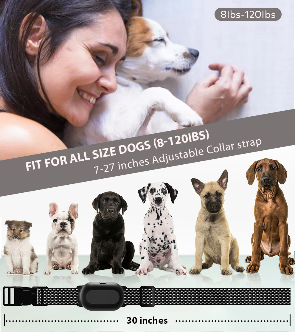 Astko T300 Dog Training Collar