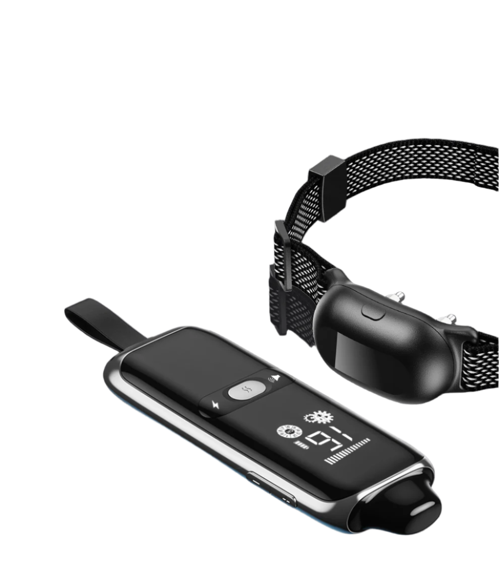 Astko T300 Dog Training Collar