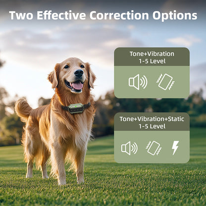 Astko F910 Radar Wireless Dog Fence