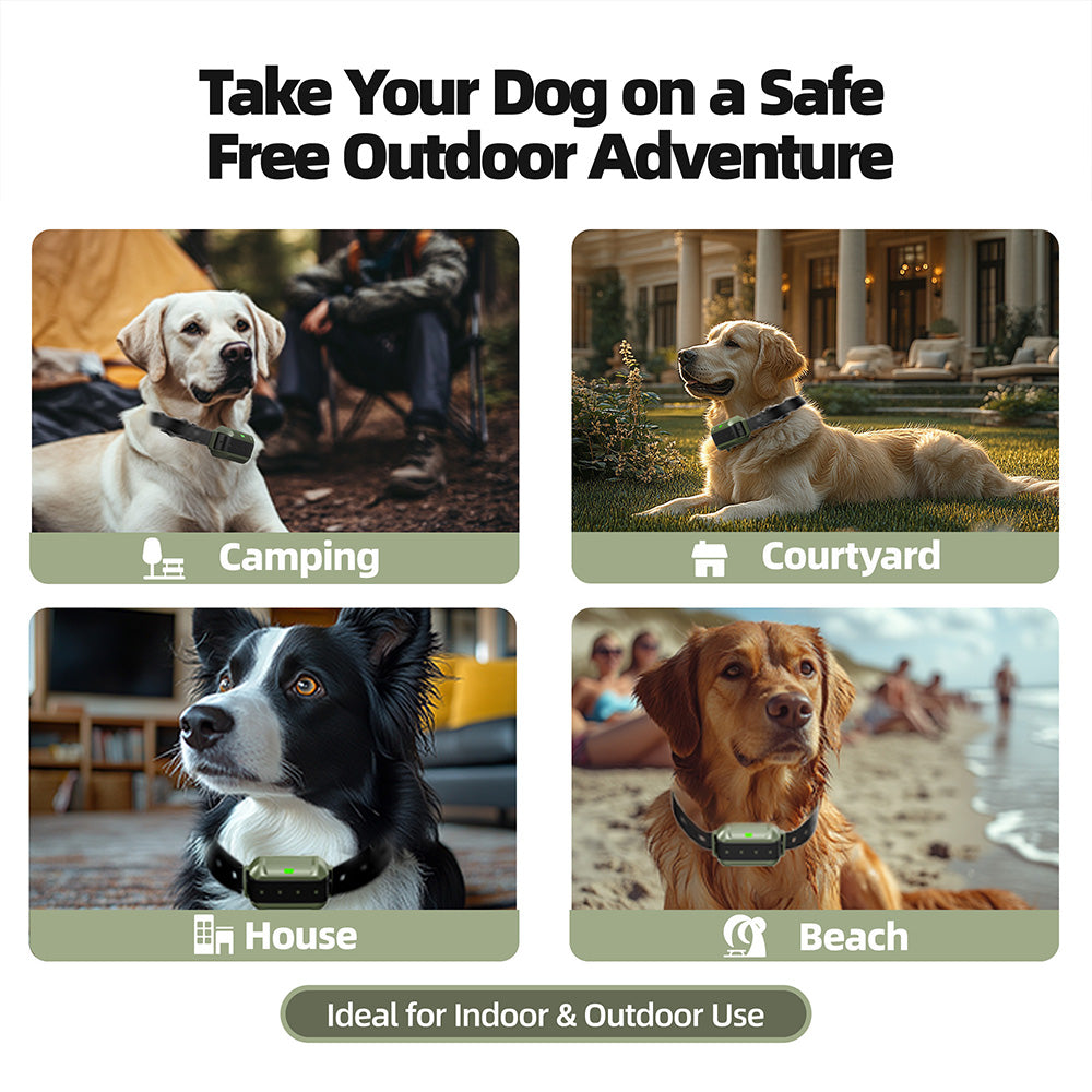 Astko F910 Radar Wireless Dog Fence