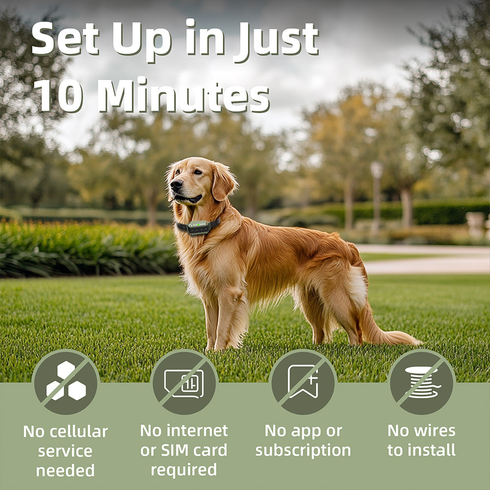 Astko F910 Radar Wireless Dog Fence
